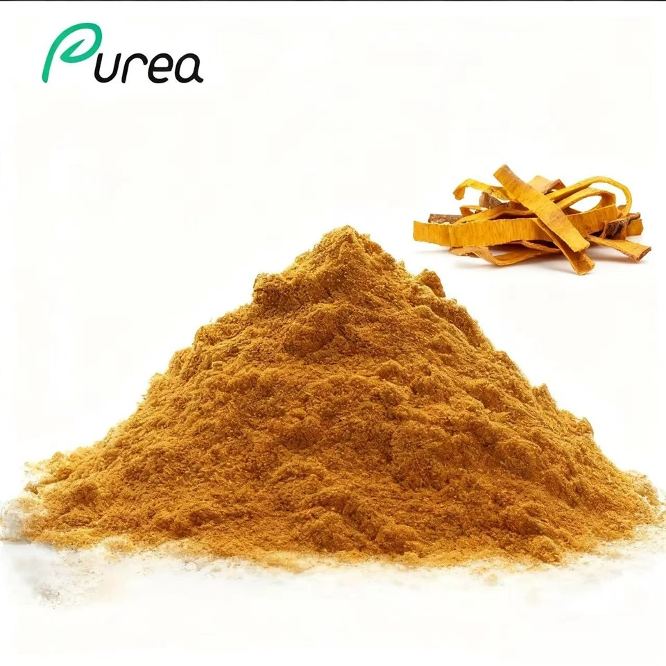 Pulbere de extract de scoarță de Phellodendron