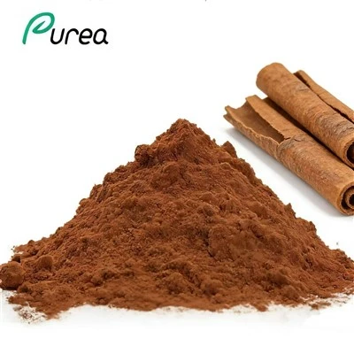 Pudră de extract de scoarță de Cinnamomum Zeylanicum